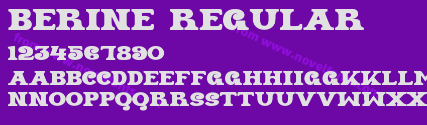 BERINE RegularPreview BERINE RegularPreview