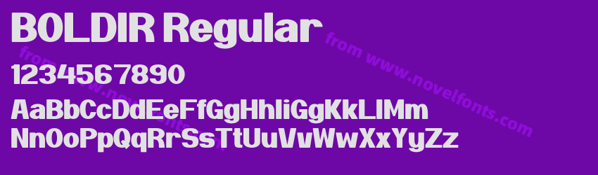 BOLDIR RegularPreview