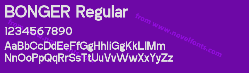 BONGER RegularPreview