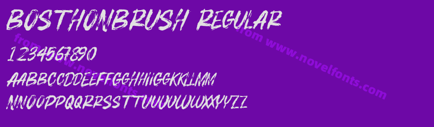 BOSTHONBRUSH RegularPreview BOSTHONBRUSH RegularPreview