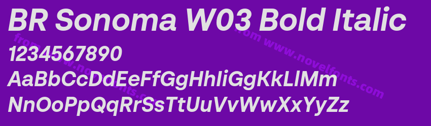 BR Sonoma W03 Bold ItalicPreview