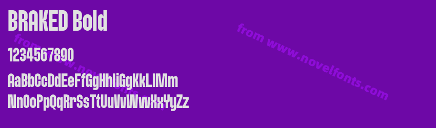 BRAKED BoldPreview BRAKED BoldPreview