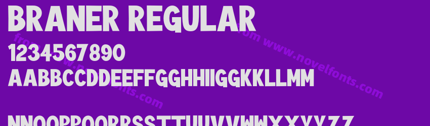 BRANER RegularPreview BRANER RegularPreview