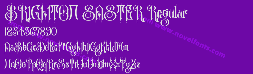 BRIGHTON SASTER RegularPreview