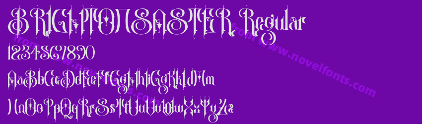 BRIGHTONSASTER RegularPreview