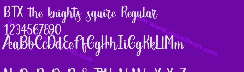 BTX the knights squire RegularPreview BTX the knights squire RegularPreview