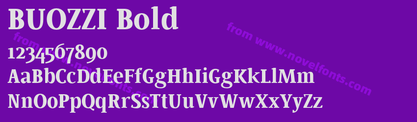 BUOZZI BoldPreview BUOZZI BoldPreview