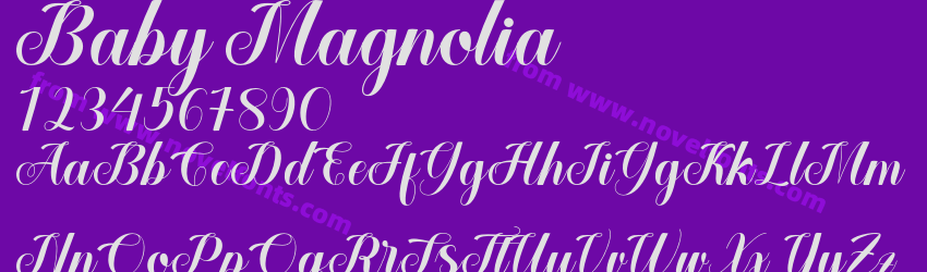 Baby MagnoliaPreview Baby MagnoliaPreview