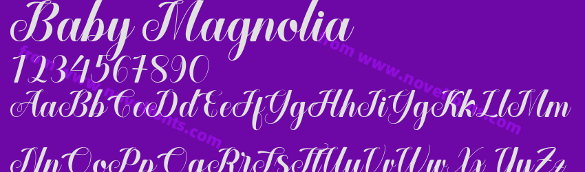Baby MagnoliaPreview