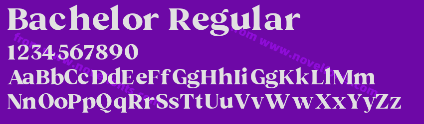 Bachelor RegularPreview Bachelor RegularPreview