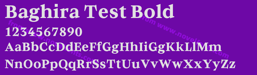 Baghira Test BoldPreview