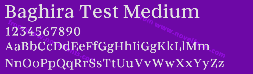 Baghira Test MediumPreview Baghira Test MediumPreview