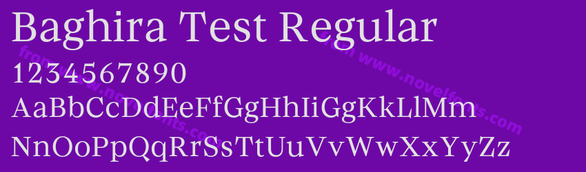 Baghira Test RegularPreview Baghira Test RegularPreview