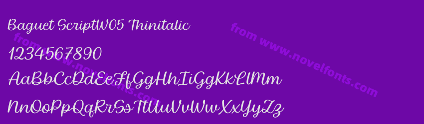 Baguet ScriptW05 ThinitalicPreview