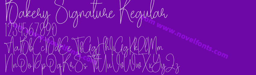 Bakery Signature RegularPreview