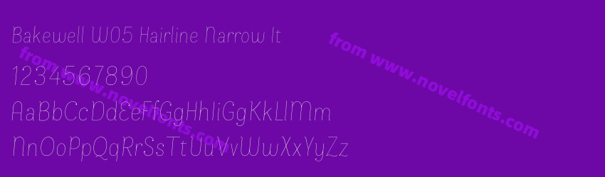 Bakewell W05 Hairline Narrow ItPreview Bakewell W05 Hairline Narrow ItPreview