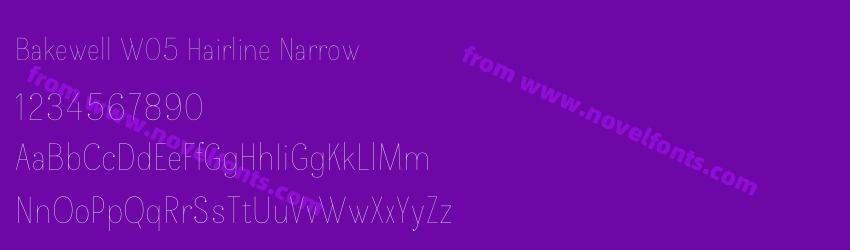 Bakewell W05 Hairline NarrowPreview Bakewell W05 Hairline NarrowPreview