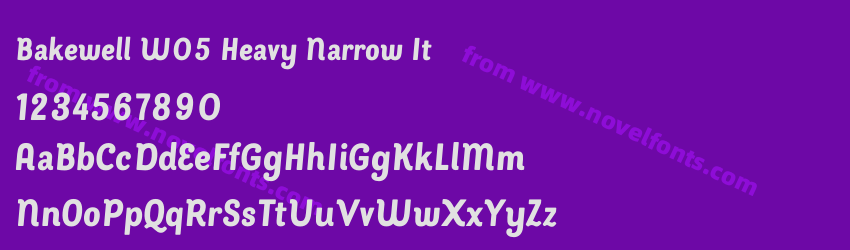 Bakewell W05 Heavy Narrow ItPreview Bakewell W05 Heavy Narrow ItPreview