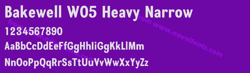 Bakewell W05 Heavy NarrowPreview Bakewell W05 Heavy NarrowPreview