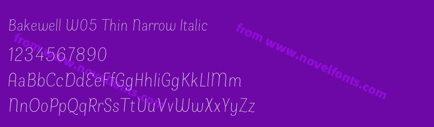 Bakewell W05 Thin Narrow ItalicPreview Bakewell W05 Thin Narrow ItalicPreview