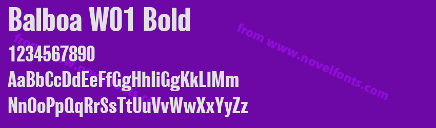 Balboa W01 BoldPreview Balboa W01 BoldPreview