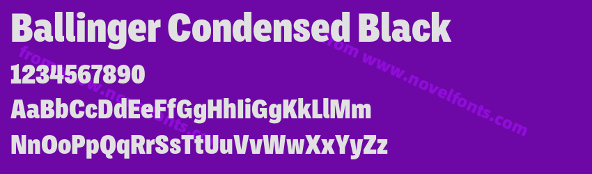 Ballinger Condensed BlackPreview Ballinger Condensed BlackPreview