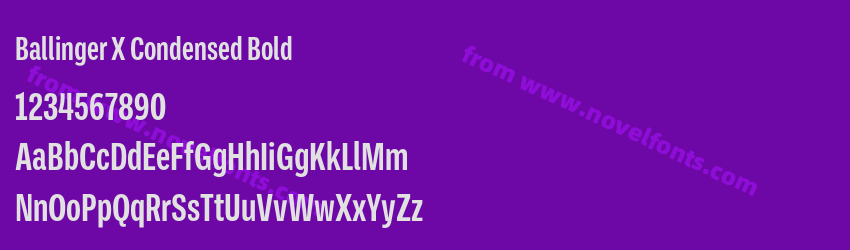 Ballinger X Condensed BoldPreview Ballinger X Condensed BoldPreview