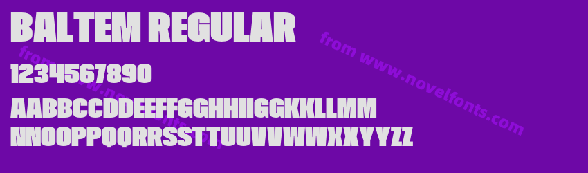 Baltem RegularPreview