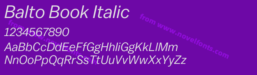 Balto Book ItalicPreview