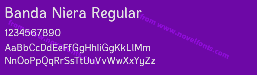 Banda Niera RegularPreview