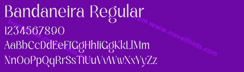 Bandaneira RegularPreview Bandaneira RegularPreview