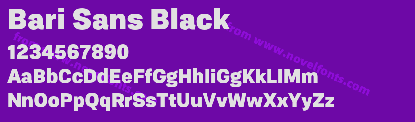 Bari Sans BlackPreview