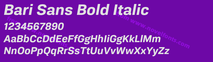 Bari Sans Bold ItalicPreview