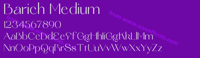 Barich MediumPreview