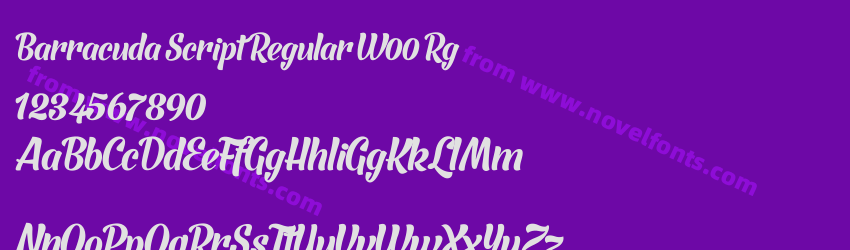 Barracuda Script Regular W00 RgPreview Barracuda Script Regular W00 RgPreview