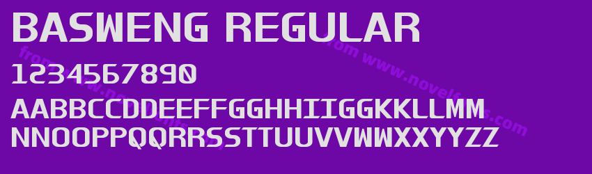 Basweng RegularPreview Basweng RegularPreview