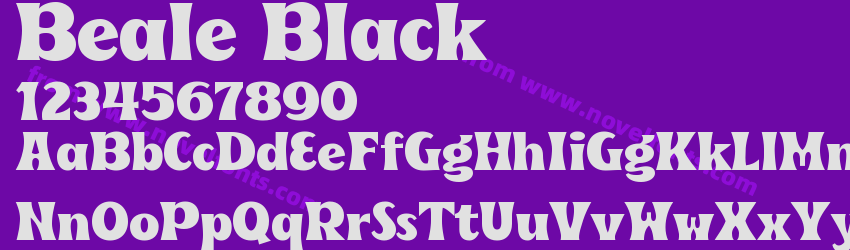 Beale BlackPreview