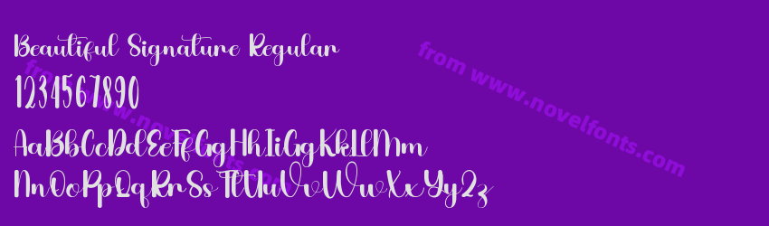 Beautiful Signature RegularPreview Beautiful Signature RegularPreview
