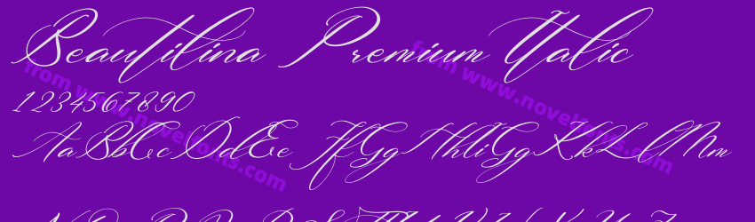 Beautilina Premium ItalicPreview Beautilina Premium ItalicPreview