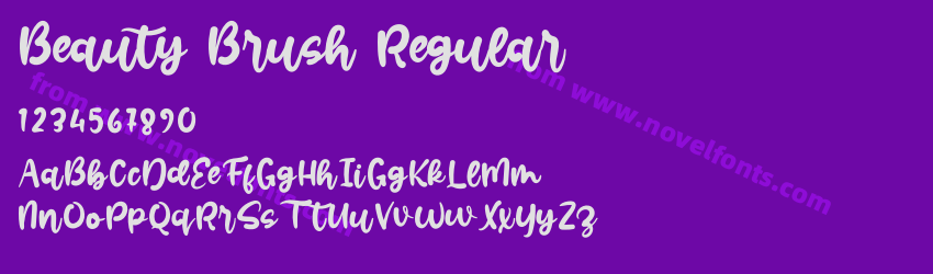 Beauty Brush RegularPreview