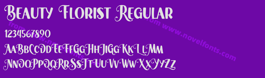 Beauty Florist RegularPreview