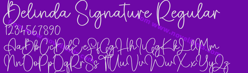 Belinda Signature RegularPreview Belinda Signature RegularPreview