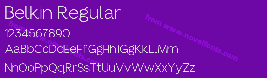 Belkin RegularPreview