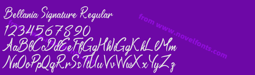 Bellania Signature RegularPreview Bellania Signature RegularPreview