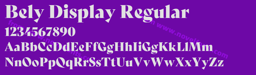 Bely Display RegularPreview