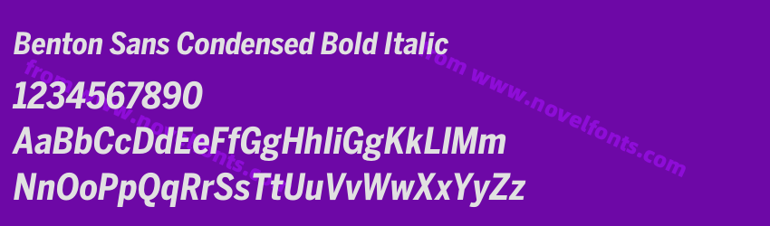 Benton Sans Condensed Bold ItalicPreview