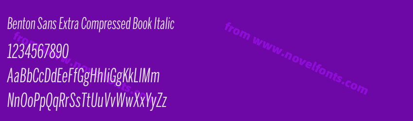 Benton Sans Extra Compressed Book ItalicPreview