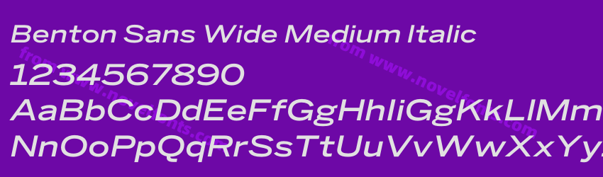Benton Sans Wide Medium ItalicPreview