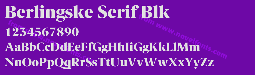 Berlingske Serif BlkPreview