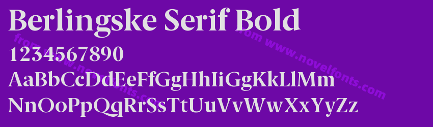 Berlingske Serif BoldPreview Berlingske Serif BoldPreview